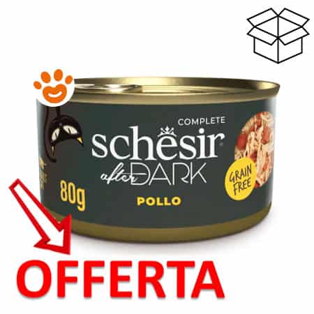 Schesir Cat After Dark Complete Filetti in Brodo di Pollo - immagine 2