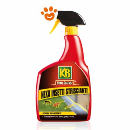 KB Nexa Insetti Striscianti